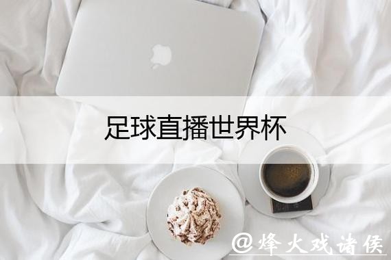 最受欢迎的世界杯直播平台推荐